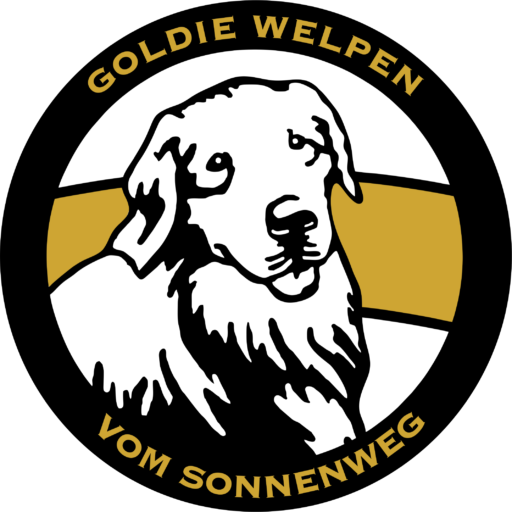 Goldie Welpen vom Sonnenweg